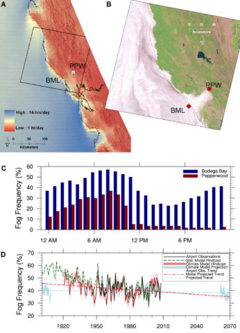 Fig. 2. Fog frequency along a coastal (Bodega Marine Laboratory (BML)) to inland (Pepperwood Preserve (PPW)) transect. (a) A fog frequency map derived from roughly 30,000 hourly Geostationary Operational Environmental Satellite (GOES) day and night images [Combs et al., 2010] displaying average daily hours of fog/low cloud cover (June–September 1999–2009) ranging from 1 to 14 hours per day. Crosshairs indicate locations of surface visibility stations referenced in Figure 2(c). (b) High-resolution view of low cloud patterns in the San Francisco Bay area from a 12 June 2002 Landsat image. (c) Diurnal patterns of fog observed in 2012 from surface visibility stations located at the coastal Bodega Marine Laboratory and at Pepperwood Preserve approximately 50 kilometers inland. Surface fog at the coastal site exhibits a diurnal pattern very similar to marine stratocumulus, whereas the inland site tends to exhibit complete fog dissipation by 11:00 a.m. Pacific Daylight Time. (d) Observed [Johnstone and Dawson, 2010] and simulated [O’Brien, 2011] centennial-scale variations in Northern California fog frequency. The model hindcast utilized boundary conditions derived from the U.S. National Oceanic and Atmospheric Administration’s 20th century reanalysis, whereas model projections were based on the business-as-usual scenario from Intergovernmental Panel on Climate Change’s Fourth Assessment Report.