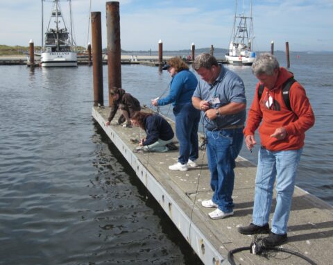 Fig. 1. Community college faculty testing underwater microphones (hydrophones) that they constructed during a Centers for Ocean Science Education Excellence (COSEE) sponsored workshop held at the Oregon Institute of Marine Biology. Credit: Janet Hodder