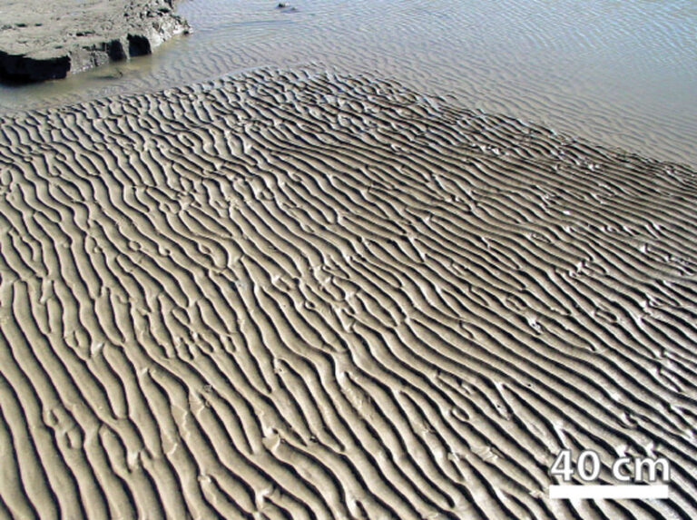 Ripple Depth Wave Ripples Spaced by Flow Downstream of Ripple Peaks - Eos