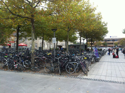 Bicycle parking outside Göttingen train station. Credit: Seth Stein