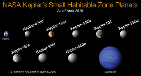 Small planets within habitable zones, identified by the Kepler mission. Credit: NASA
