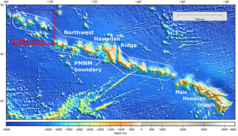 Fig. 1. Global topography of the main and northwestern Hawaiian Islands. Papahānaumokuākea Marine National Monument (PMNM) boundary is in white; the location of the study site is in red.