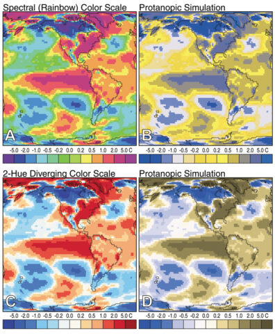 Fig. 1. Two-meter air temperature anomalies (i.e., differences from the 1971–2000 mean) for January 1998 (during a recent El Niño) using two different color schemes. (A) Data using a saturated spectral scheme similar to those used by many geoscience authors; (B) A simulation of the spectral image as it might appear to individuals with protanopic vision, one of the most common types of color-vision deficiency in which the retina lacks red-sensitive cones; (C) The same data mapped using a red-white-blue diverging scale; and (D) The corresponding simulation for color-deficient readers. (NCEP/NCAR reanalysis data.)
