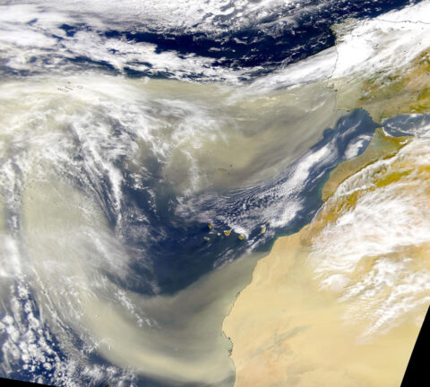 Dust streaming off the western Sahara. Credit: SeaWiFS Project, NASA/GSFC and ORBIMAGE
