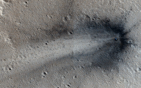 A recent impact on Elysium Planitia is visible in this image, as are the rays of dark subsurface material that the impact sprayed outward. The crater is on the order of tens of meters across. Credit: HiRISE