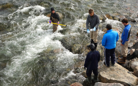 The team collects water from the Kangiqtugaapik River (near Clyde River) while explaining the process to Esa Qillaq and Noire Iqaluqjuak, residents of Clyde River hired to collect samples on a weekly basis between June and October. In the image, Matt Alkire wades into the river and collects water from the central channel using an extendable pole, Greg Lehn rinses the bottle three times before a final sample is kept, and John Kelly (far right) explains the sampling process to Esa and Noire. Credit: Rob Macdonald.
