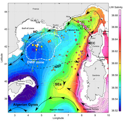 Water salinity levels about 500 meters below the surface off the coast of Sardinia and Corsica show the dynamics of submesoscale coherent vortices in the northwestern Mediterranean Sea. DWF, Deep Water Formation; LIW, Levantine Intermediate Water; NBF, North-Balearic Front; NC, Northern Current; SEs, Sardinian Eddies; WCC, Western Corsica Current. Credit: Bosse, et al., Journal of Geophysical Research: Oceans