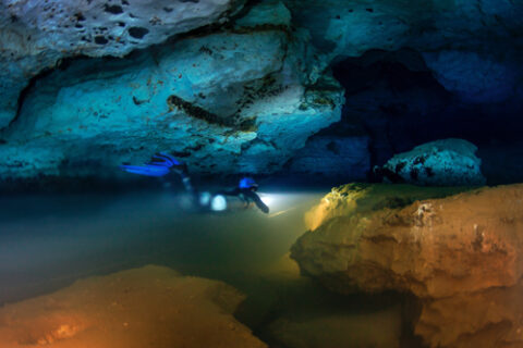 A diver swims through Manantial del Toro cave where clear fresh water fills the upper part of the chamber above cloudy salt water below. The slime curtains live in the salty water. Credit: Laurent Benoit
