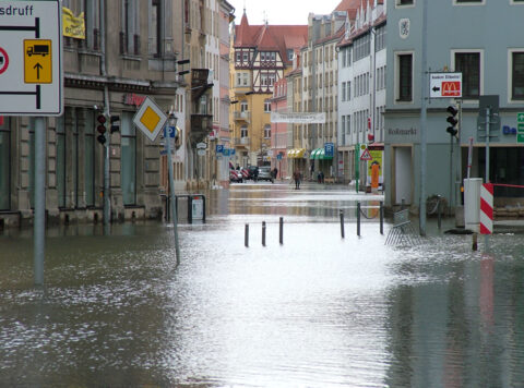 Meissen-Elbe-2006-31_EMBED_WEB2