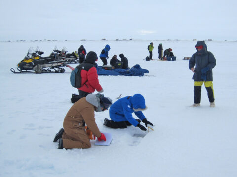 Participants at the Snow on Sea Ice Workshop take data in the field. Credit: Don Perovich