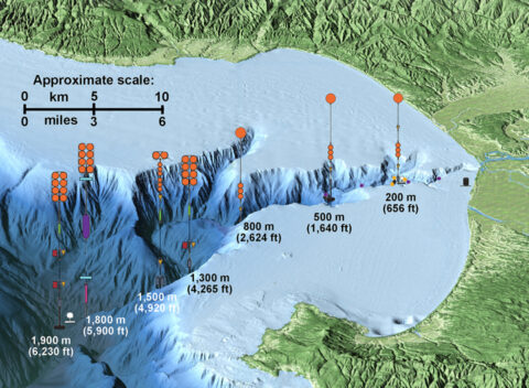 This map indicates the locations and depths of the different equipment arrays the researchers deployed throughout Monterey Canyon. The map is not to scale. Credit: © 2015 MBARI