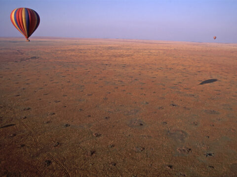 Thousands of termite mounds dot the Kenyan savannah. Credit: John Storr , Public domain