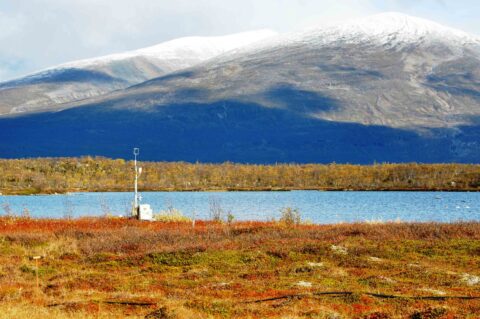 The study site’s instrument mast equipped with wind and gas concentration sensors, which collect high-resolution records of methane exchange between the surface and the atmosphere. Credit: Bo Elberling