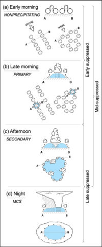 A schematic showing (a) the organization of nonprecipitating clouds, (b) the production of cold pools from precipitating cells, (c) the initiation of new, deeper clouds along intersecting cold pool boundaries, and (d) the eventual growth to mesoscale convective systems overnight during the transition from suppressed to active MJO periods. Early, middle, and late suppressed brackets refer to the general time within the suppressed periods when these sequences of events are observed. Credit: Rowe and Houze, 2015, doi:10.1002/2014JD022948