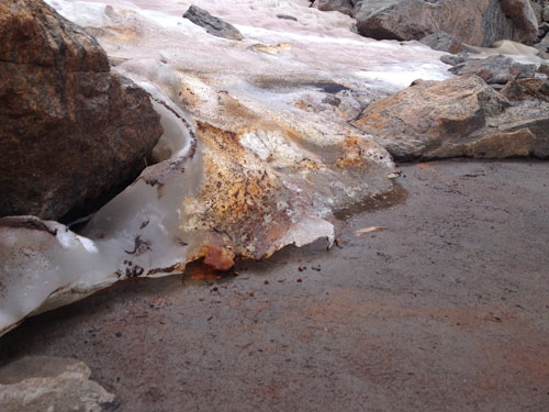Iron-oxidizing microbes living in the outflow of a rock glacier in the Gore Range, Colo. Credit: Timothy Fegel