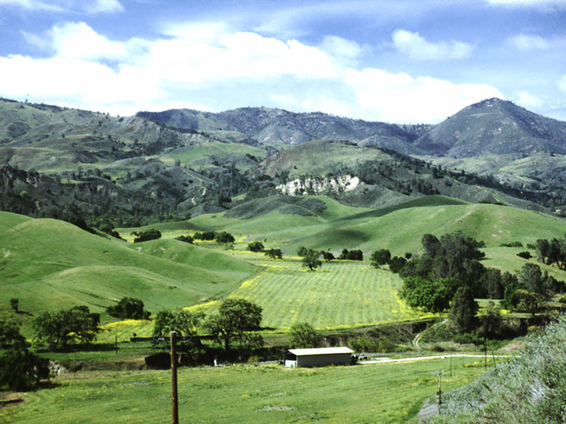 water-eroded-hill-sedgwick-reserve-santa-barbara