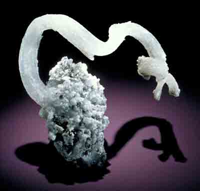 A specimen of the mineral gypsum exhibits sinuous crystal growth.