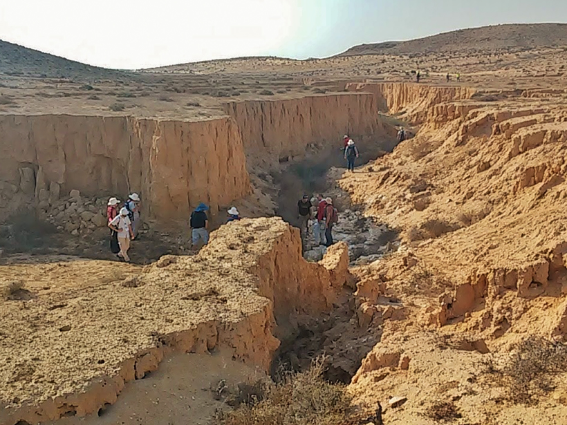 Negev-dune-field-sediment.jpg