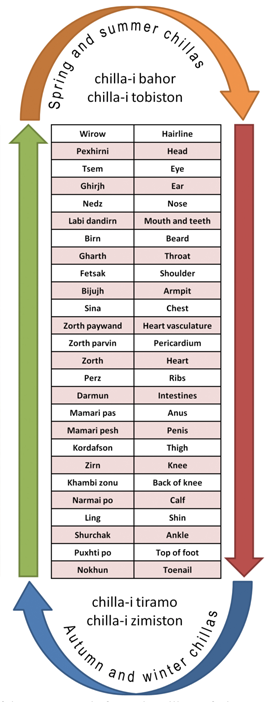 In this figure depicting a Pamiri calendar of the human body, each body part provides a mnemonic that correlates with environmental cues.