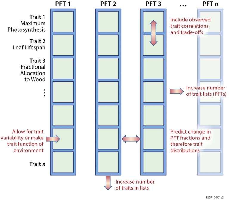 Expanding Use of Plant Trait Observations in Earth System Models - Eos