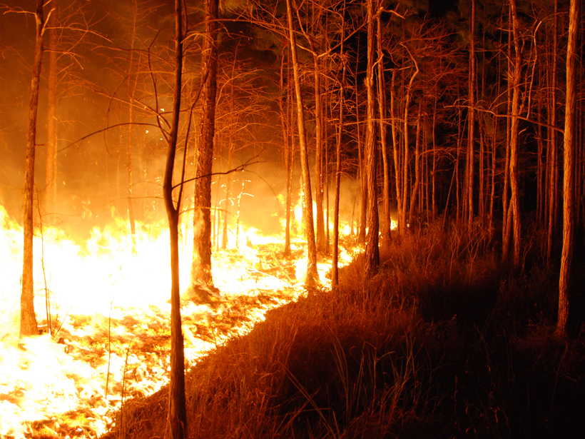 wildfire-florida-panther-nwr-2009