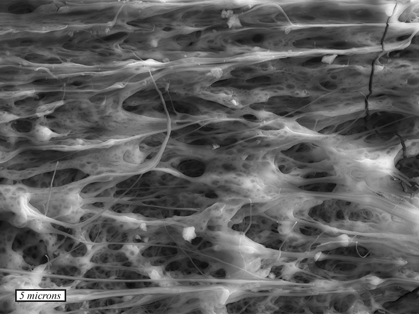 Micrographs of melted asperities due to flash heating during laboratory earthquakes.