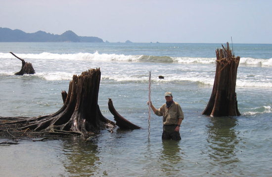 A scientist investigates dramatic subsidence along the northwest coast of Sumatra in January 2005.