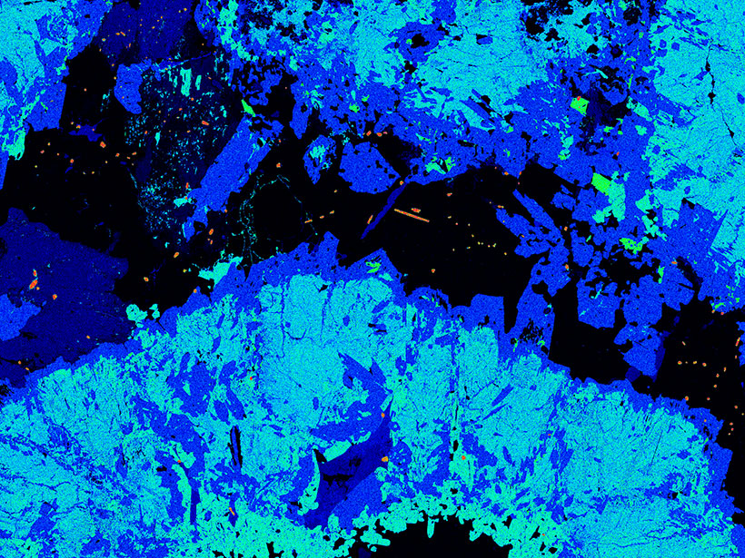 X-ray map, using calcium Kα radiation, of orbicular (disk-shaped) diorite from Davie County, N.C.
