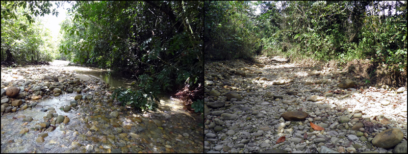 Chaki Mayu, Amazonia, Bolivia, during flowing and dry phases.