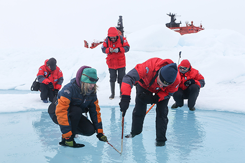 Citizen scientists measure melt pond depth at North Pole.