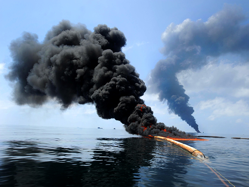 Deepwater Horizon Oil Lingered And Sank Stuck To Marine