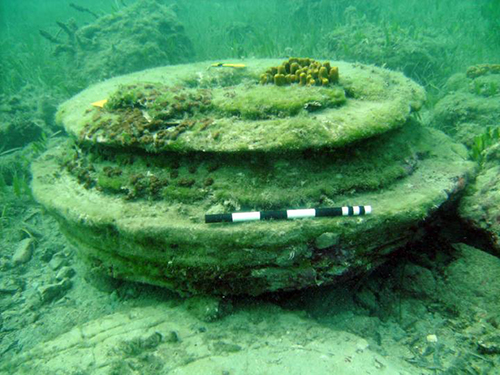 Microbes made carbonate structure resembling pillar base.