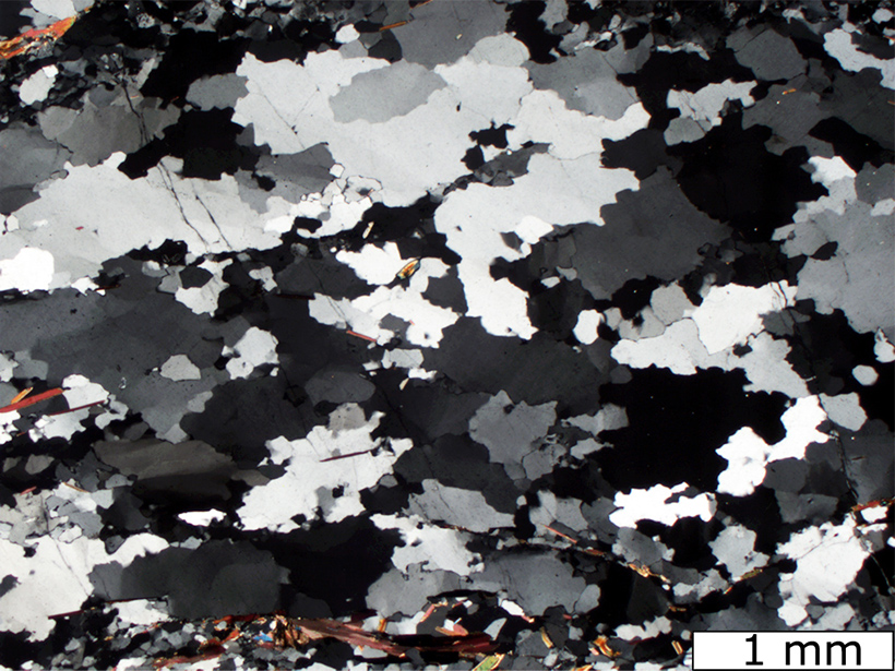 Micrograph of a recrystallized quartz aggregate from a high-temperature shear zone in Italy’s Truzzo granite, showing a grain boundary migration microstructure.