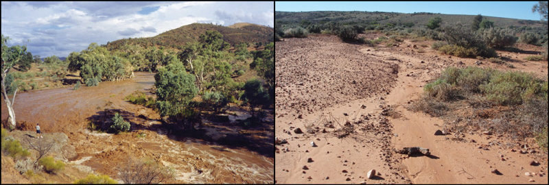 Unnamed ephemeral rivers in South Australia.