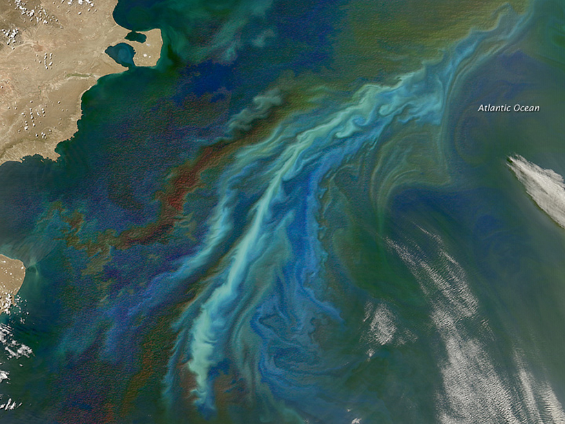 Phytoplankton blooms help to cycle nitrate in the Southern Ocean.