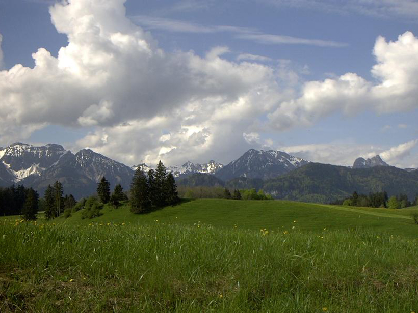 German-Alpine-Molasse-Basin-shaped-by-faults
