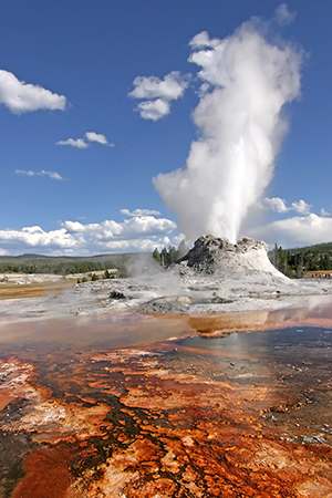 Castle Geyser, Yellowstone National Park