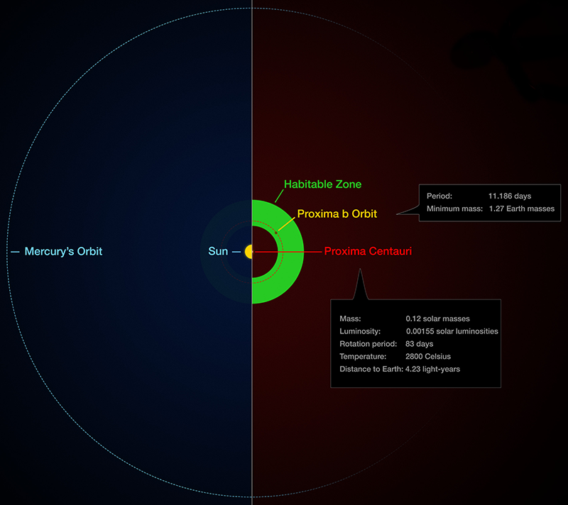 Diagram of Proxima b’s orbit compared to relative locations in solar system.