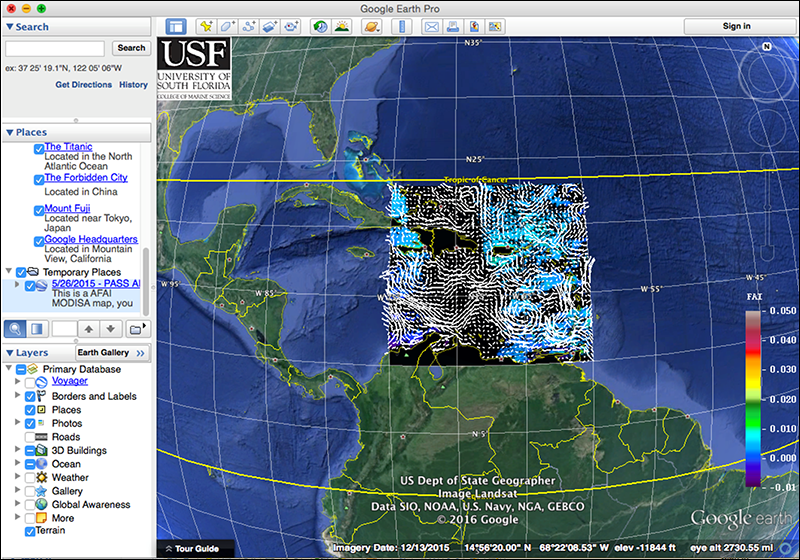 figure-3-top-sargassum-watch-system-google-earth