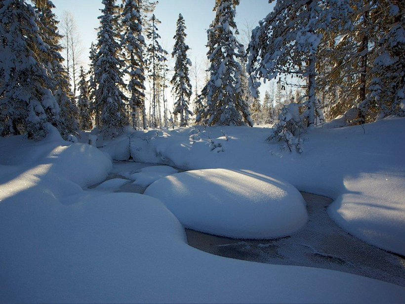 headwater-streams-export-carbon-from-peatlands
