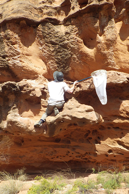Researcher scales sandstone wall.