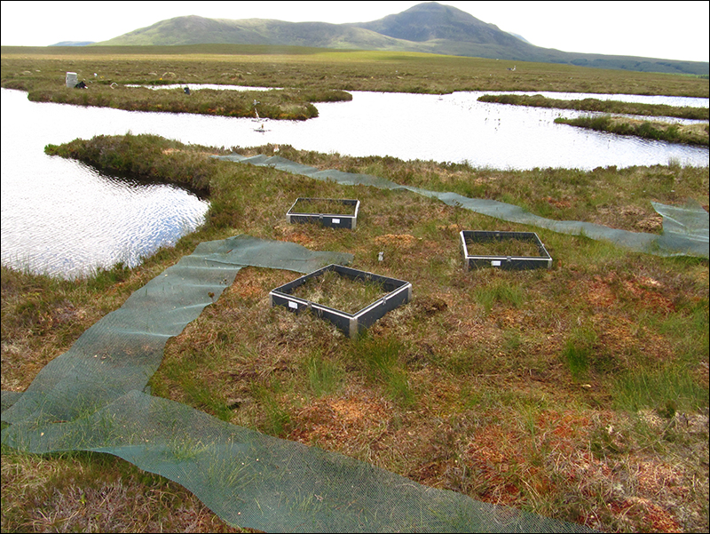 Measuring the effects of pools on greenhouse gas dynamics on peatlands, Scotland, U.K.