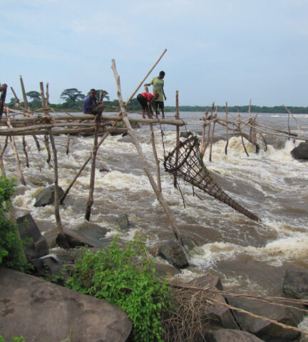 The Wagenia fishermen at Stanley Falls on the Congo River next to the city of Kisangani. Credit: Alain Laraque, Institut de Recherche pour le Développement (IRD), Toulouse, France