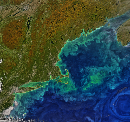 Phytoplankton swirls off the coast of New England this fall in the eddy field between the Gulf Stream and the Gulf of Maine. This 7 October image is from the aqua satellite’s Moderate Resolution Imaging Spectroradiometer (MODIS); GEO-CAPE plans to collect similar images every 1–3 hours of all coasts along North America. Credit: Aqua-MODIS