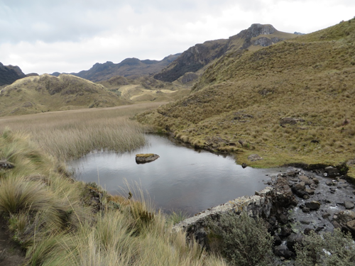 The Andean Páramo zone is a vital source of water for Andean countries.