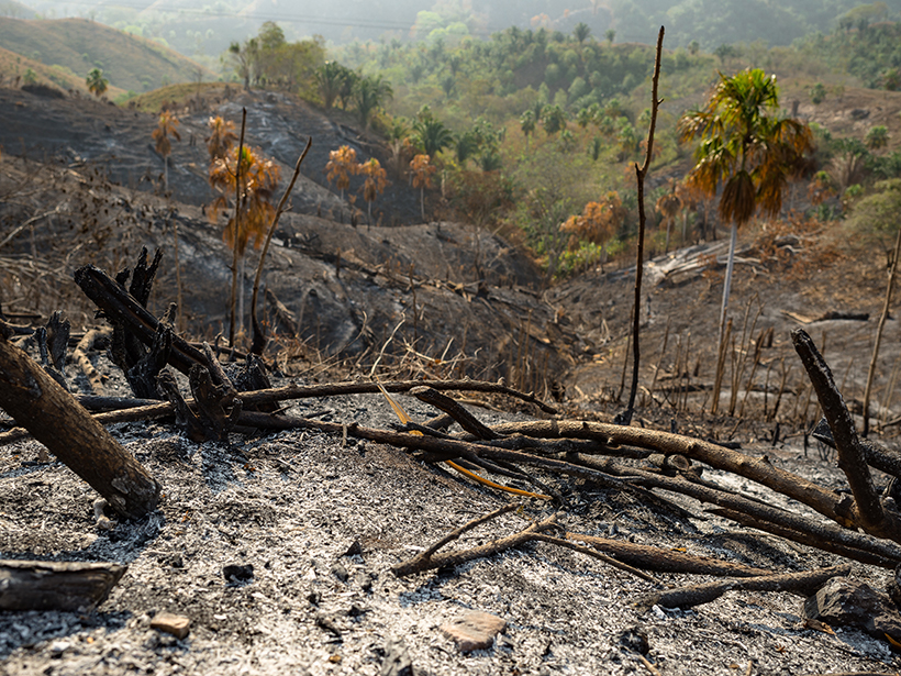 colombia-tropical-dry-forest-fire