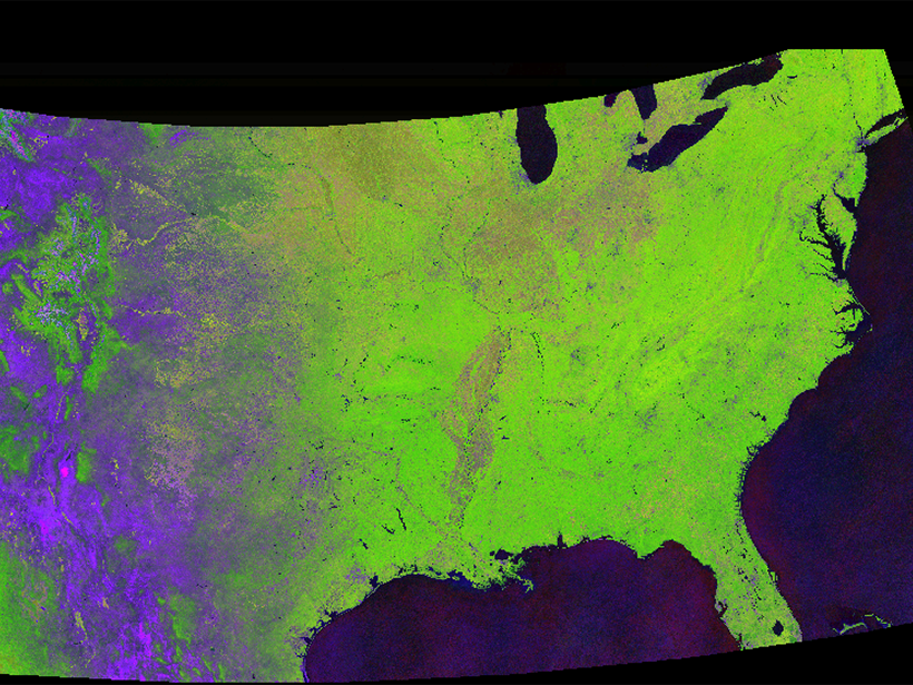 A partial frame from a movie showing land cover change across the United States, created by Descartes Labs.