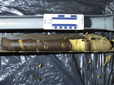 A close-up of a guano core.