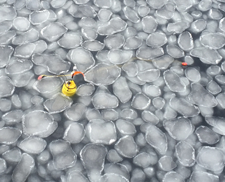 A Surface Wave Instrument Float with Tracking (SWIFT) buoy measures waves in pancake ice.