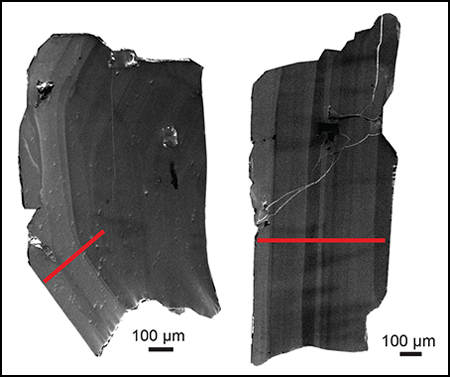 Feldspar phenocrysts from the Lava Creek tuff. Red represents the path of an electron microprobe.